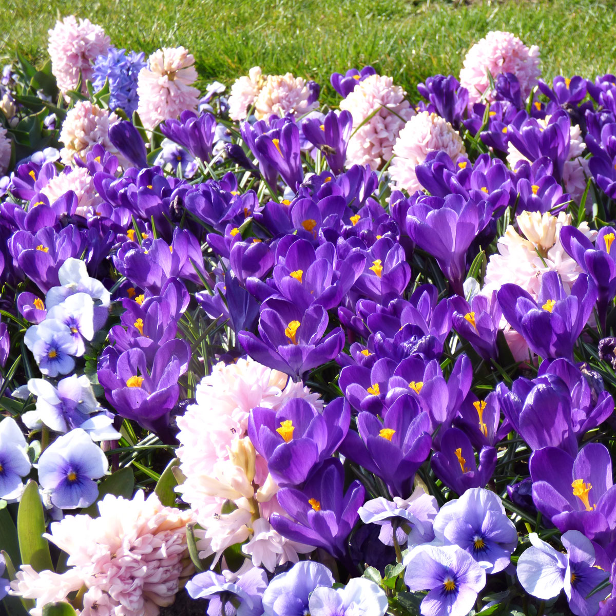 Blumenbeet Ideen für den Frühling