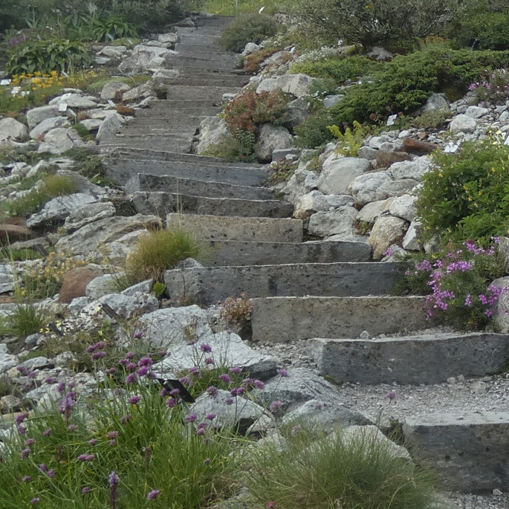 Treppe im modernen Steingarten