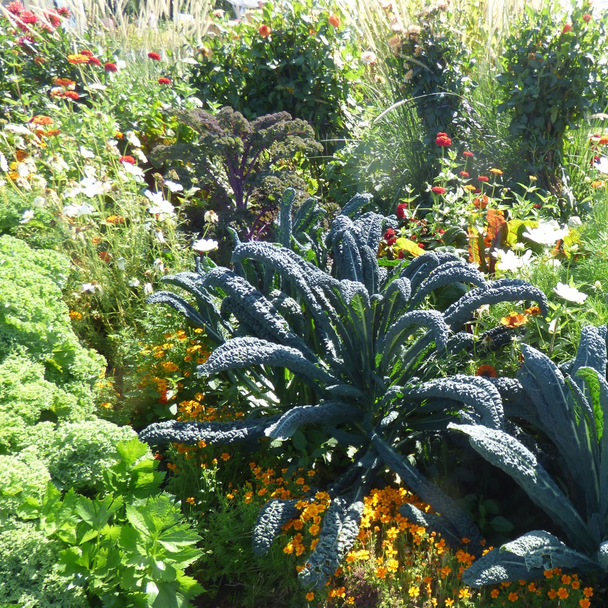 Gemüsegarten Gestaltungsideen