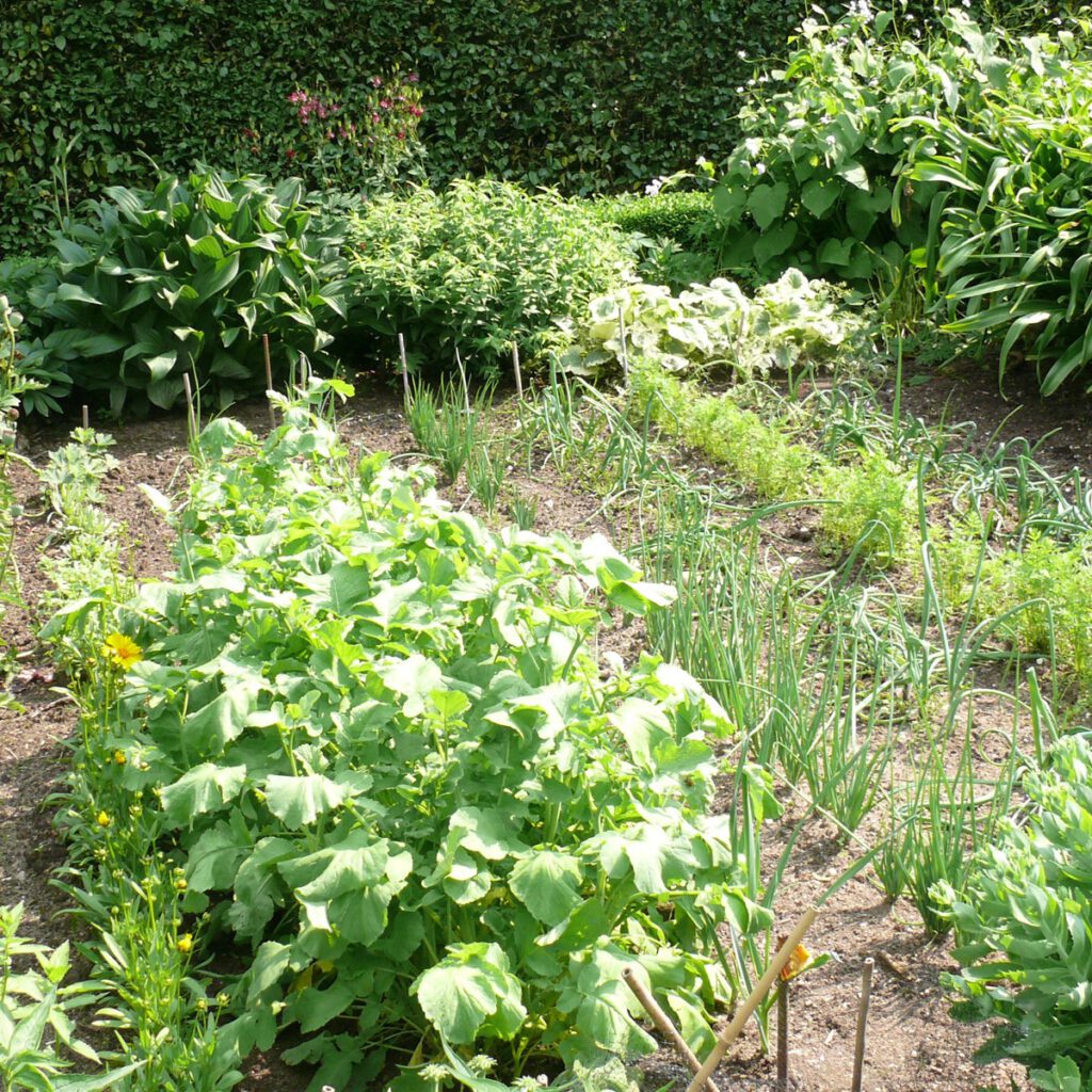 Gemüsegarten Gestaltungsideen