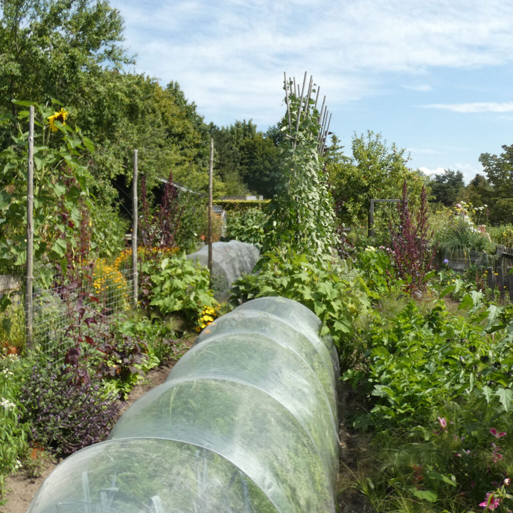 Ländlicher Gemüsegarten