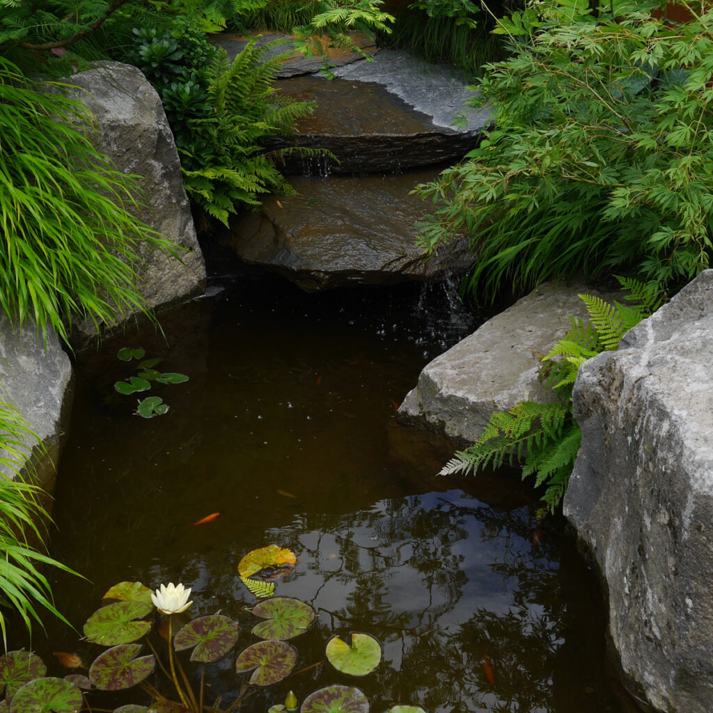 Teich Ideen für kleine Gärten