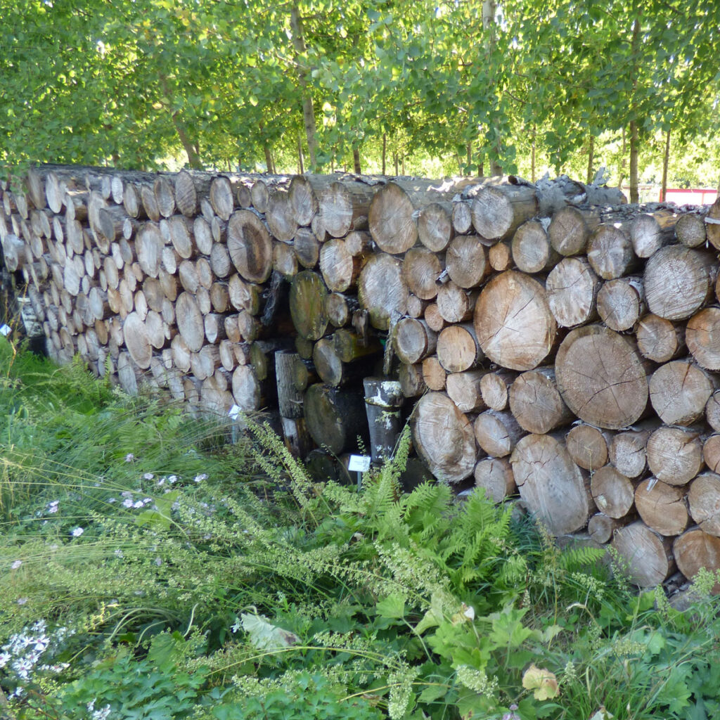 Holzstapel im Garten