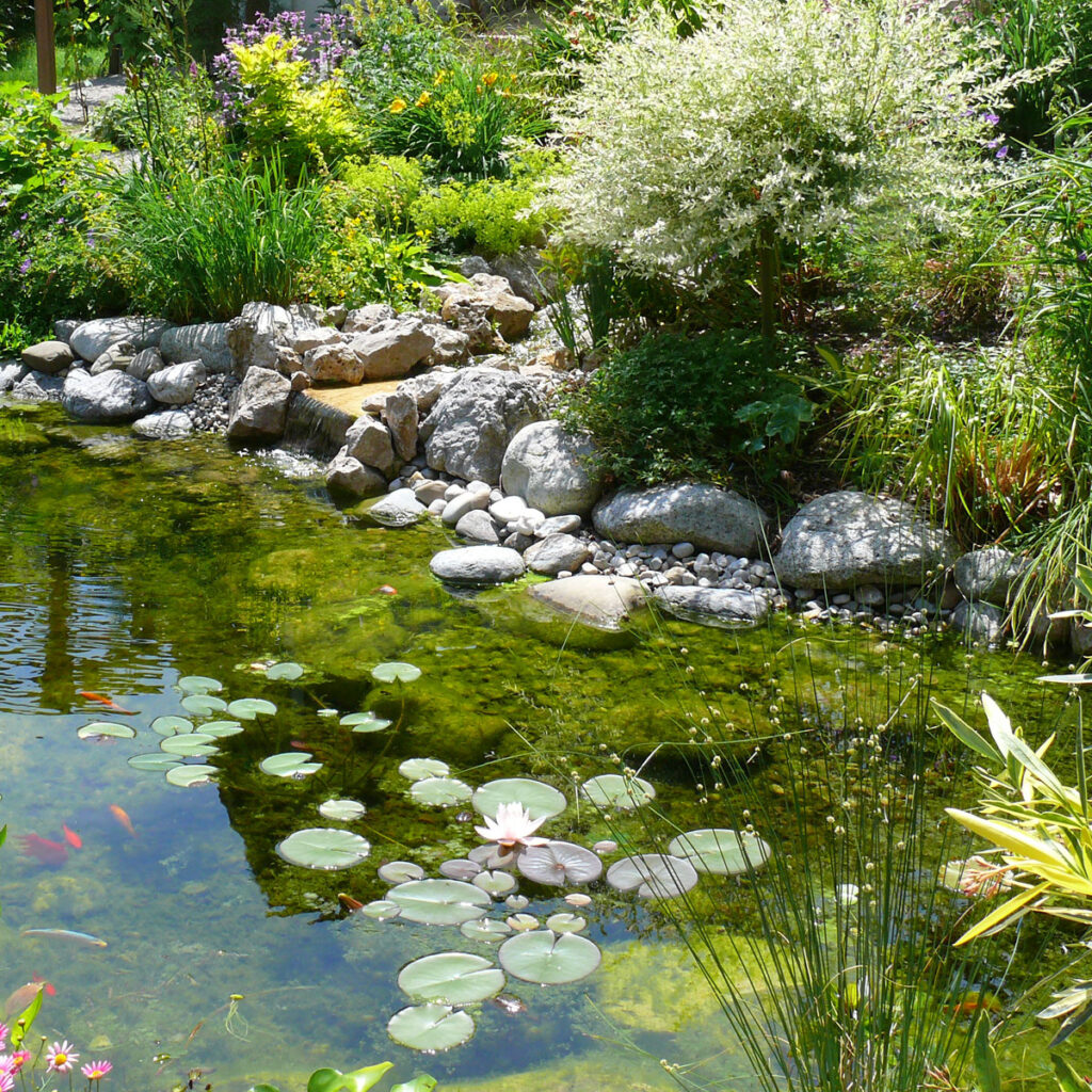 Naturteich mit Wasserfall