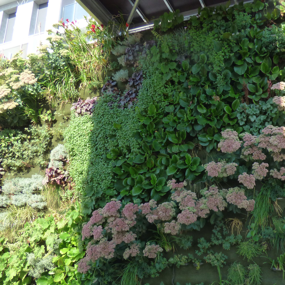 Vertikaler Garten Gestaltungsideen