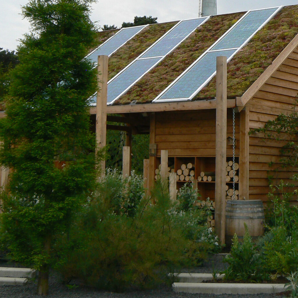 Geründach mit Solarpanelen