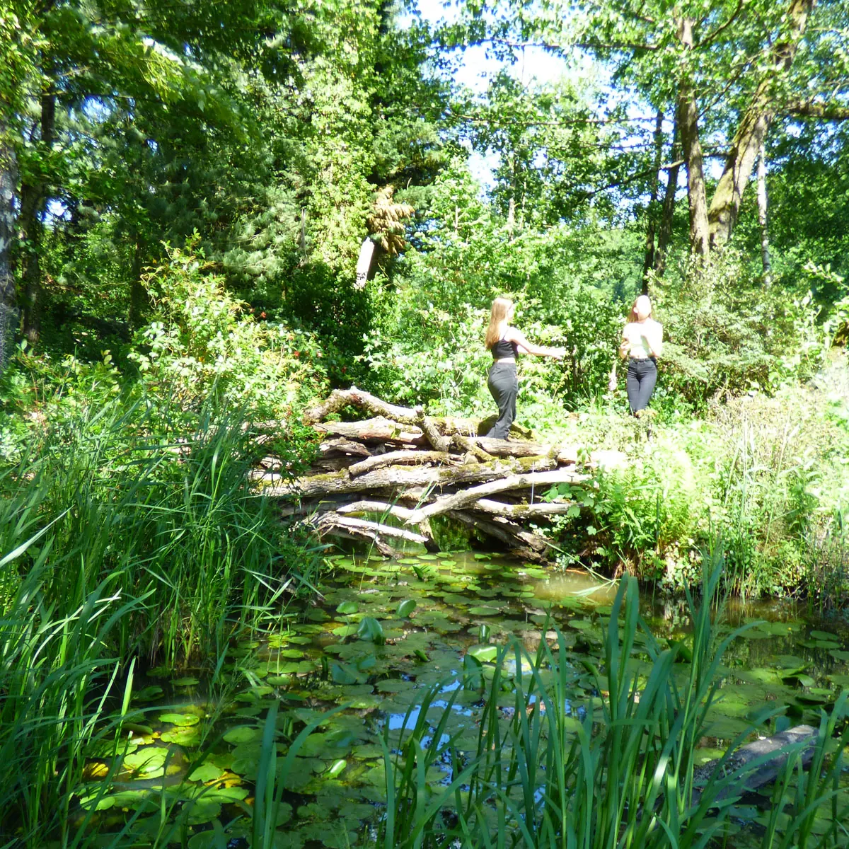 waldgarten anlegen