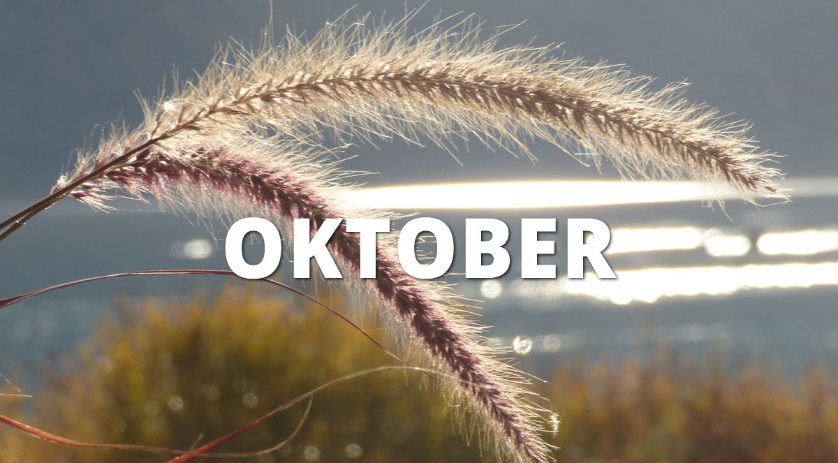 Wichtig im Oktober